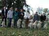 Elis,Cayen,Conny,Cathy,Caesar,Darby,Beauty,Erny  