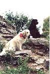 Kačina 2003 - fialové družstvo