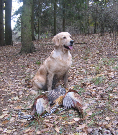 Lexy -hunt 2012 -2