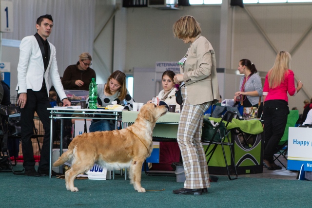 Lexy - duocacib Blava 102013-2.day