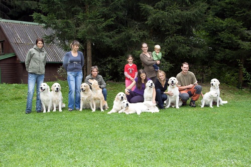Alber 2010- nas team