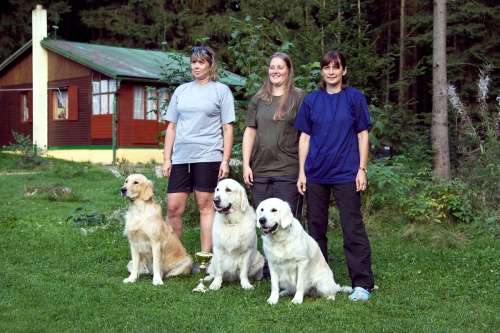 Alber 22010_platosak