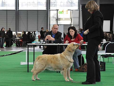 cacib _brno_cathy-so