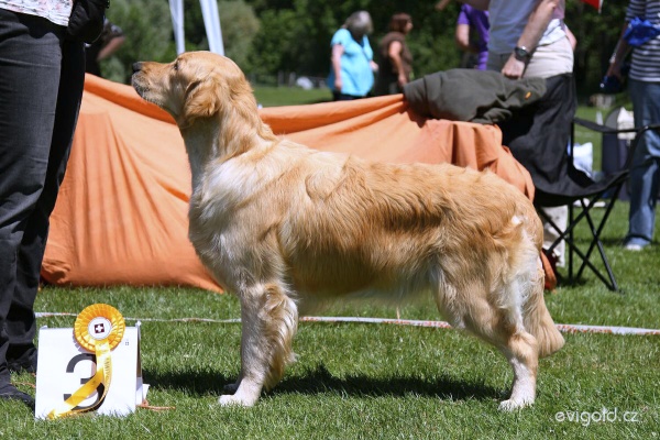 Lexy - exc3,CS swiss2011