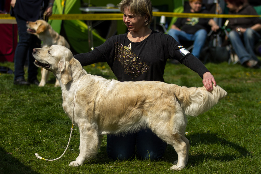 Diana _ NV Otstrava 1