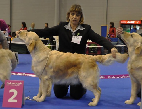 Dora - duo22013