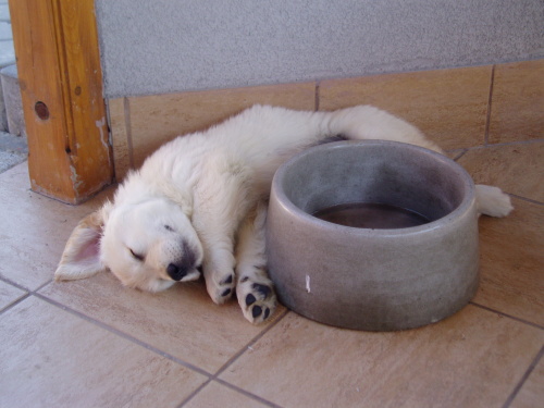 Doris - siesta