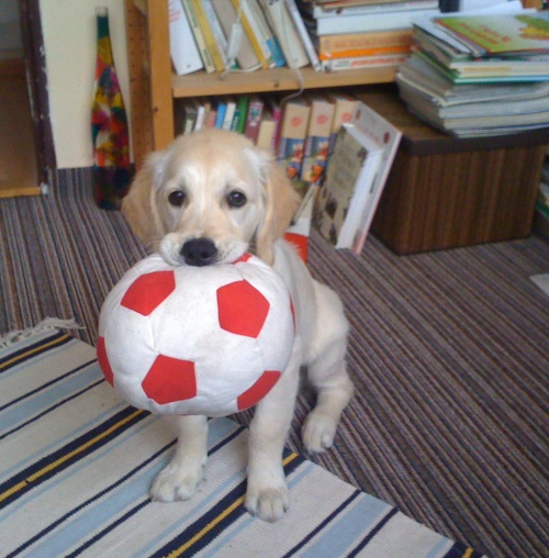 Dora with ball