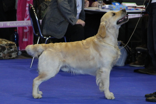 DUO2012_Danta EX4