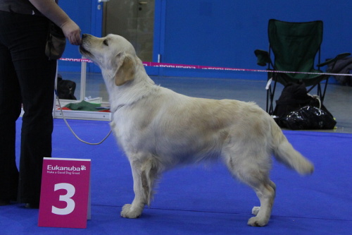 DUO2012_Doris Ex3