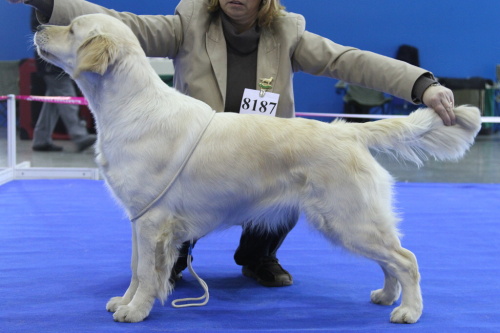 DUO2012_Doris