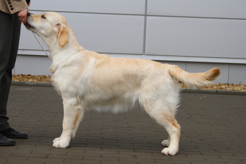Brno2011 _ Hailey