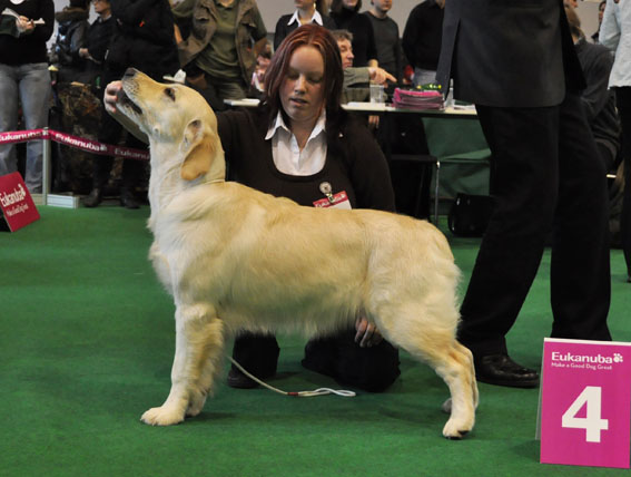 Brno2011-VP4_Hailey