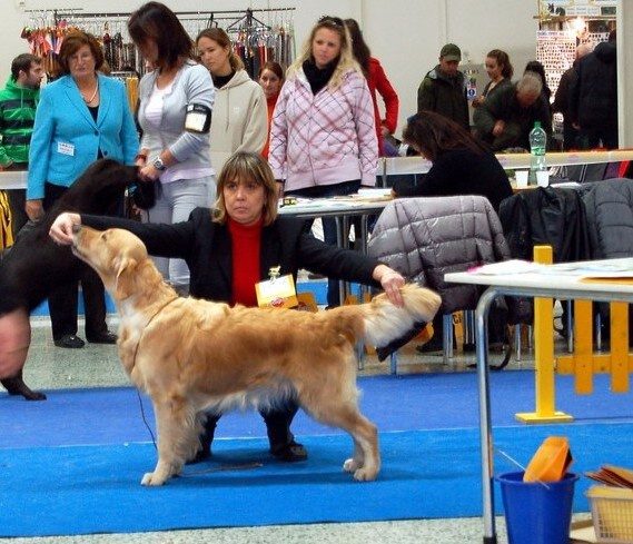 Nitra 2011_ Lexy in the ring
