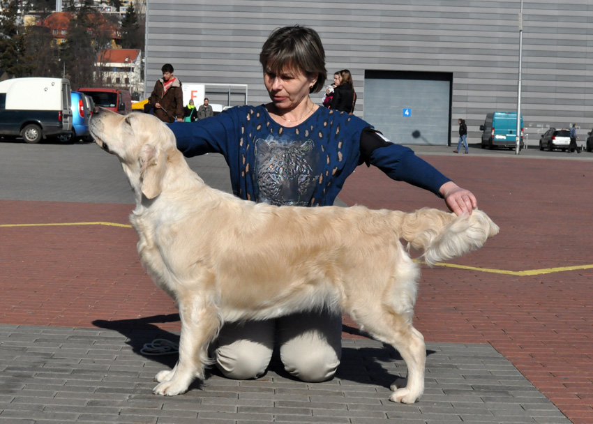 Duocacib _ Brno Diana venku