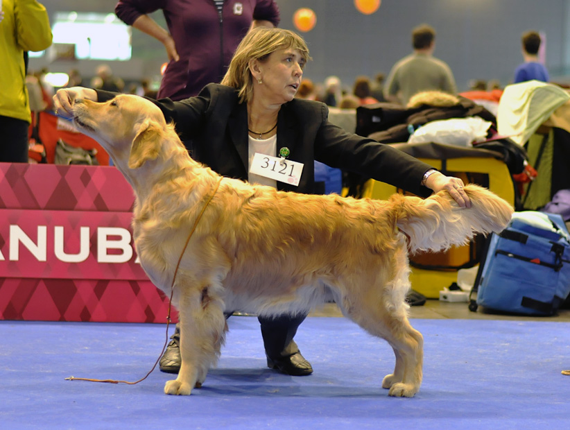 Duoacib Brno - Lexy cac