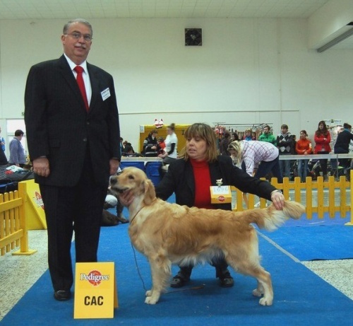 Nitra2011_ Lexy with judge