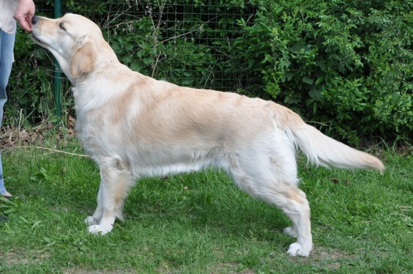 Eli2-11 months
