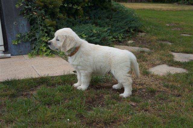 Enrico2 - 2 m.