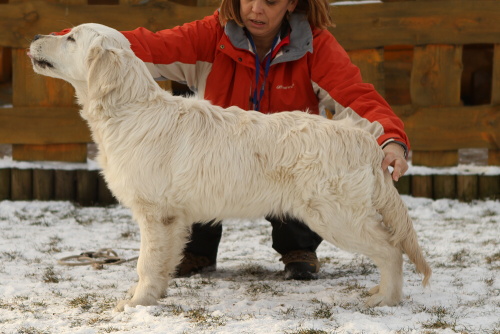 rico - stand 6m
