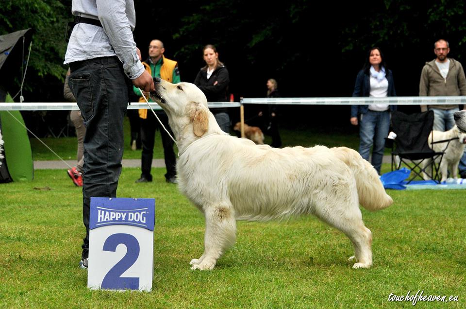 KV Kono 2015 - Finn