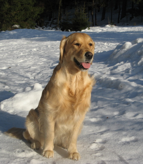 Lexy_winter2010
