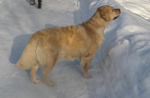 Cathy - jizerky