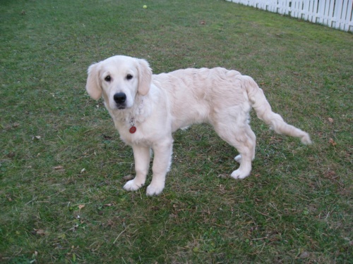 Kinley 5,5 m._ 2