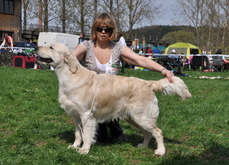 KV Hump.2013 - E dindin