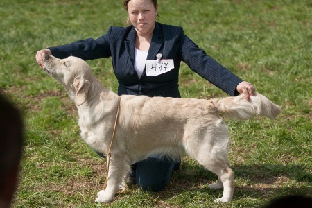 KV Hump.2013 - Era
