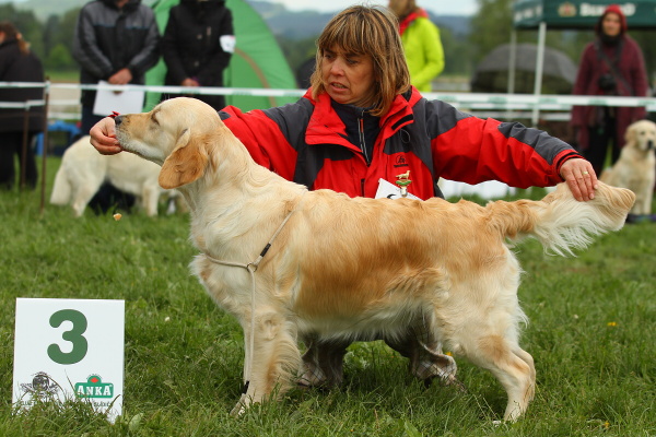 KV Humpolec2012-Dora