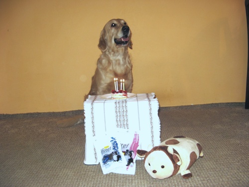 Lexy -4.years