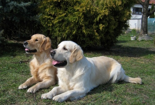 Lexy x Monty