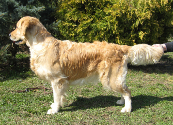 Lexy standing