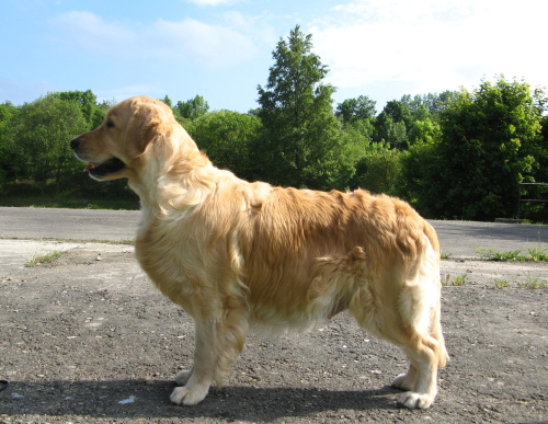 Lexy - 52.den brezi
