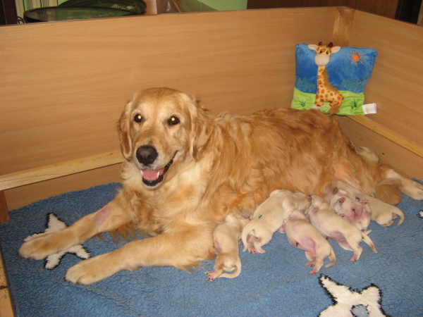 litter E - 1st day