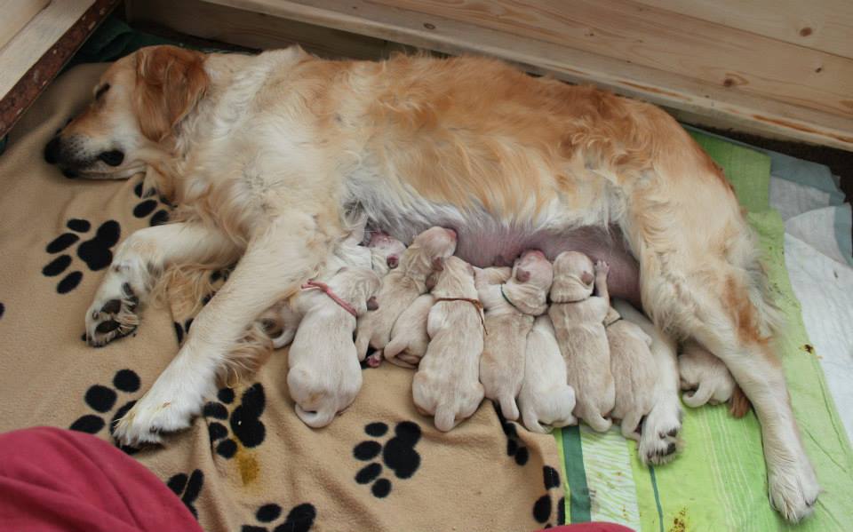 birth