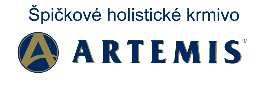 artemis logo