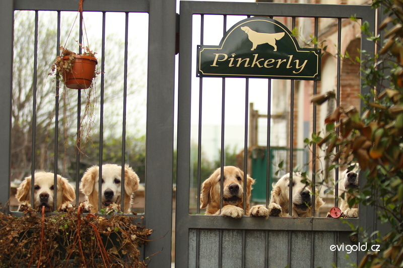 pinkerly gate