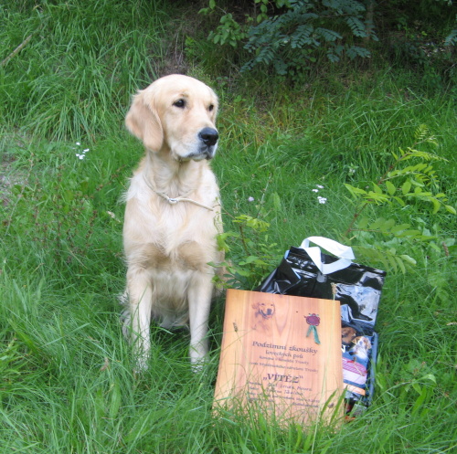 Autumn hunting test - Lexy