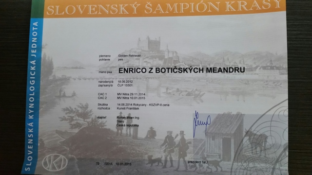Rico CH SK