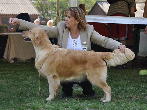 Lexy_Szilvasvarad 2011