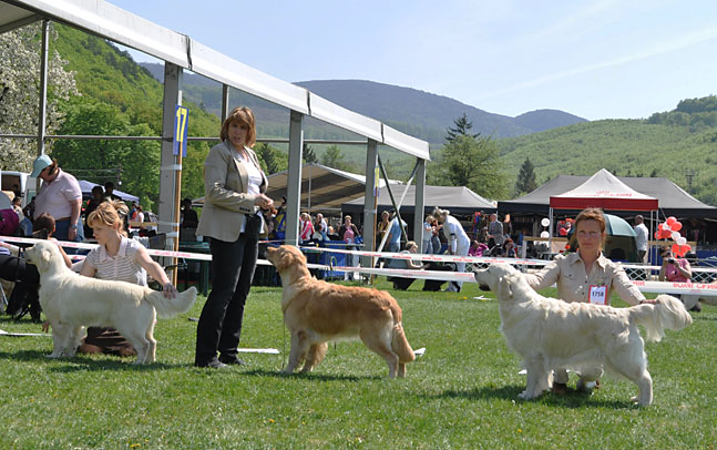 Lexy_Szilvasvarad 2011- sunday