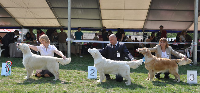 Lexy_Szilvasvarad 2011- sat.