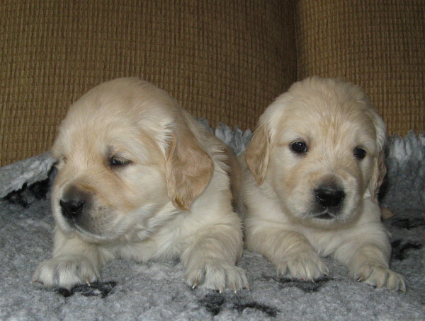 our boys - 27th day