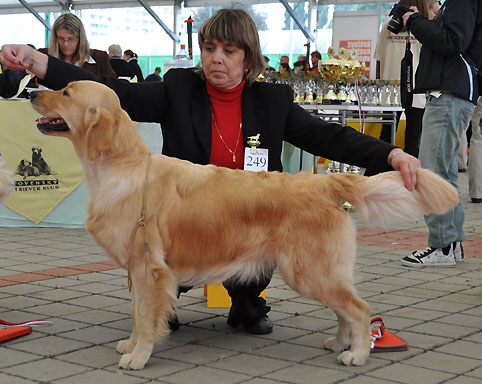 Lexy,WDS2009